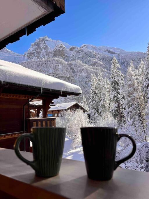 Peacefull Mountains View Daire Kandersteg Dış mekan fotoğraf